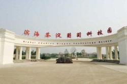 茶淀玫瑰香葡萄采摘园