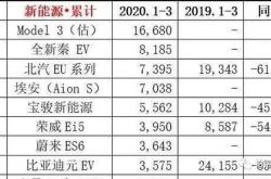 国产新能源汽车销量榜