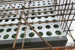 新能源建筑龙头