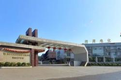 岭东新能源分公司在哪里