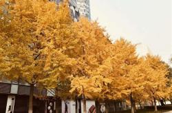 北京智明创兴科技有限公司
