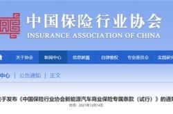 新能源保险怎么买合适