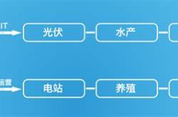 OverviewofTongwei'sNewEnergyDivision