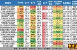 新能源汽车投资公司