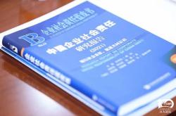 新能源公司运营模式