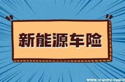 1.车辆类型