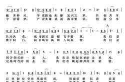 有关柯基的梗