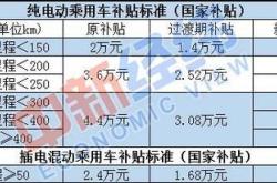 新能源政府补贴2024年还有吗