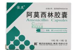 重庆科技职业学院学费一年多少钱
