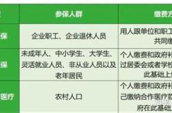 北京新能源职工医保政策解析与指导建议