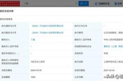 上海新能源信用报告审核未通过