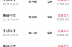 关于楚山新能源股票的分析与建议