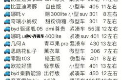 新能源汽车怎么买便宜
