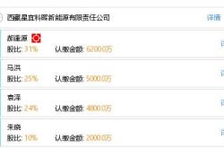 西藏适合发展的新能源是什么