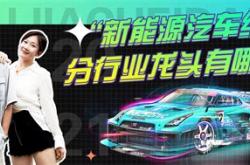 新能源车龙头