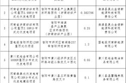 衡阳新能源产业