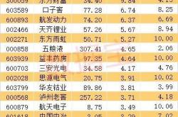 中国最大的新能源公司有几家