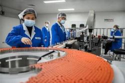 科兴生物科技杨光