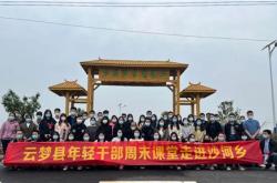 可再生能源类型