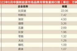 国内新能源排行