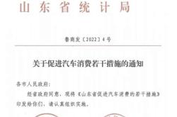 山东买新能源汽车可享受啥政策