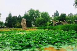 蟹岛度假村电话号码