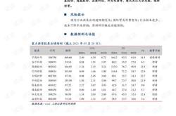 中国新能源投资