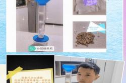 科技制作小学生手工作品