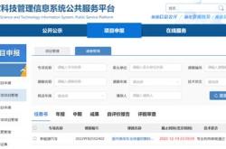 新能源燃料立项申请
