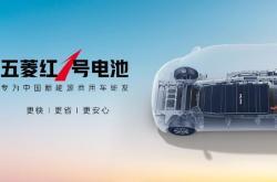 新能源汽车电池品牌排名