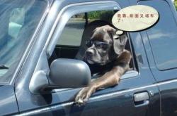 为什么很多人不愿购买新能源汽车？