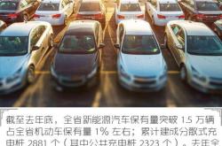 三亚新能源汽车上牌需要摇号吗