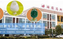 江西新能源科技公司