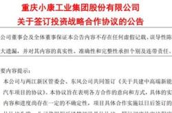 金康新能源有限公司