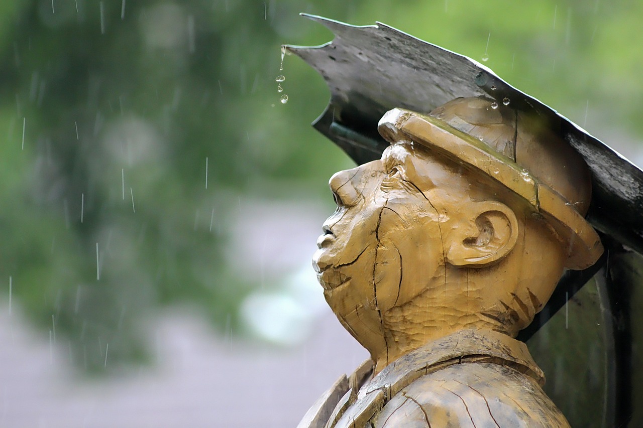 梦境中的洗礼，雨中的心灵独白——解析被大雨淋湿的梦境含义