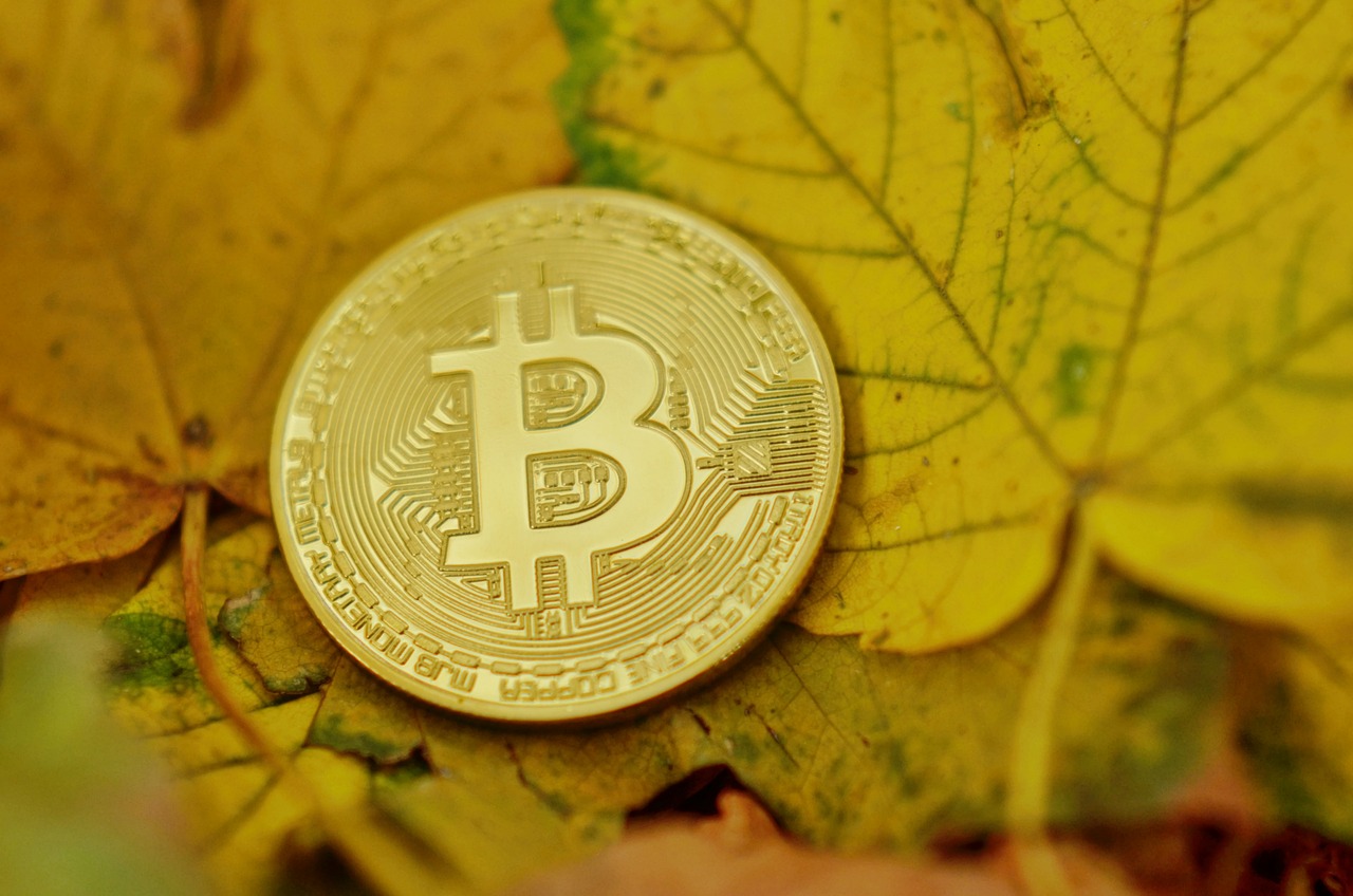 深度解析，揭秘证金贵金属投资有限公司——投资理财的新选择