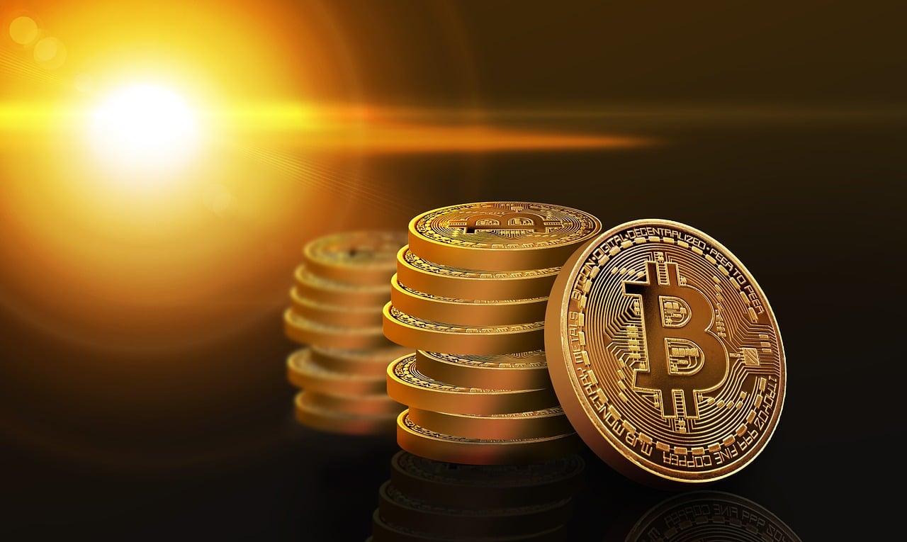 揭秘！2022年普洱茶七子饼价格走势与品质鉴别全指南