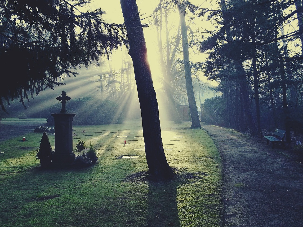 梦境与现实的交响，解读同学死亡的潜意识暗示
