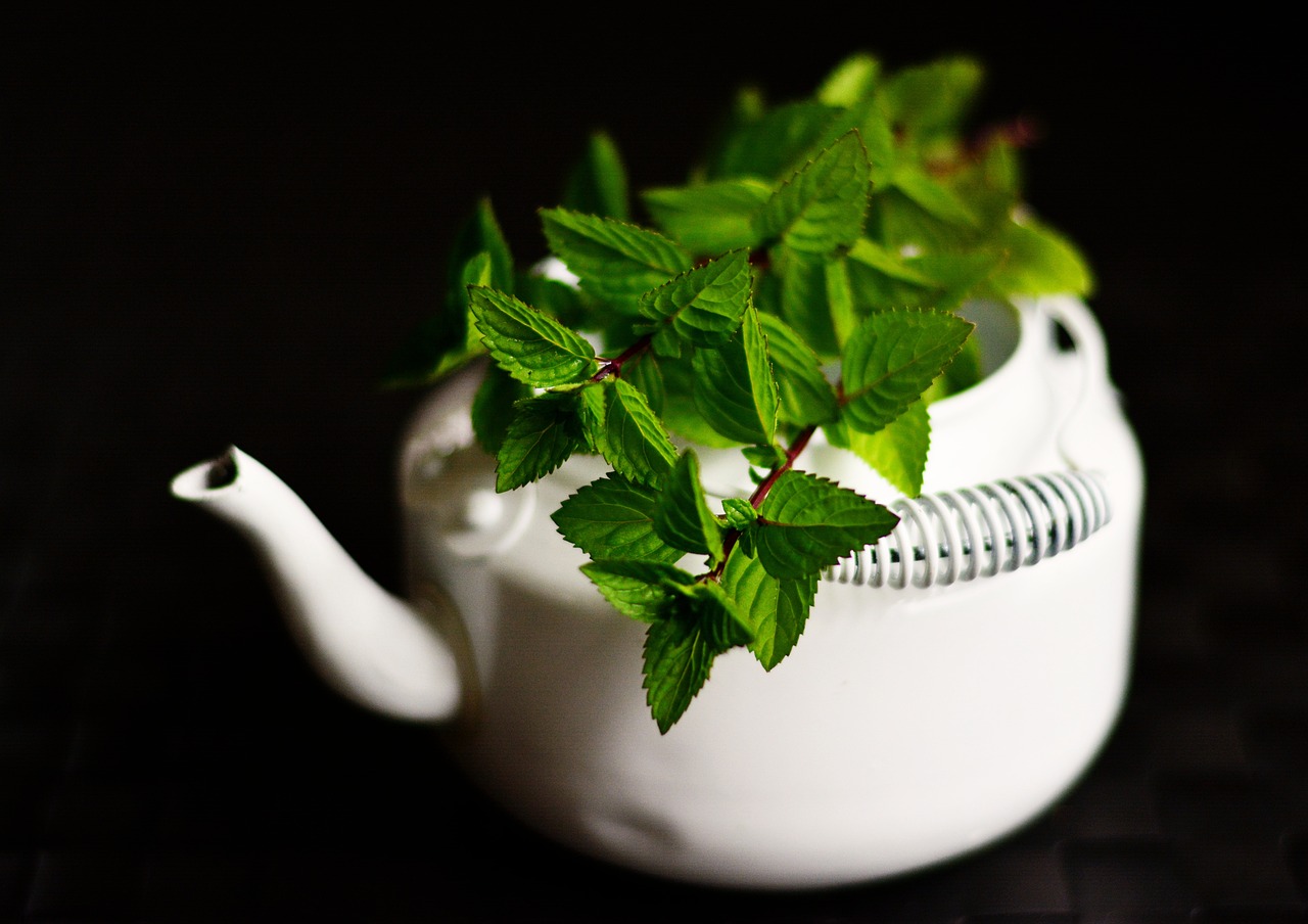 茶韵悠长，品味生活，深度解析铁观音茶具的艺术与魅力