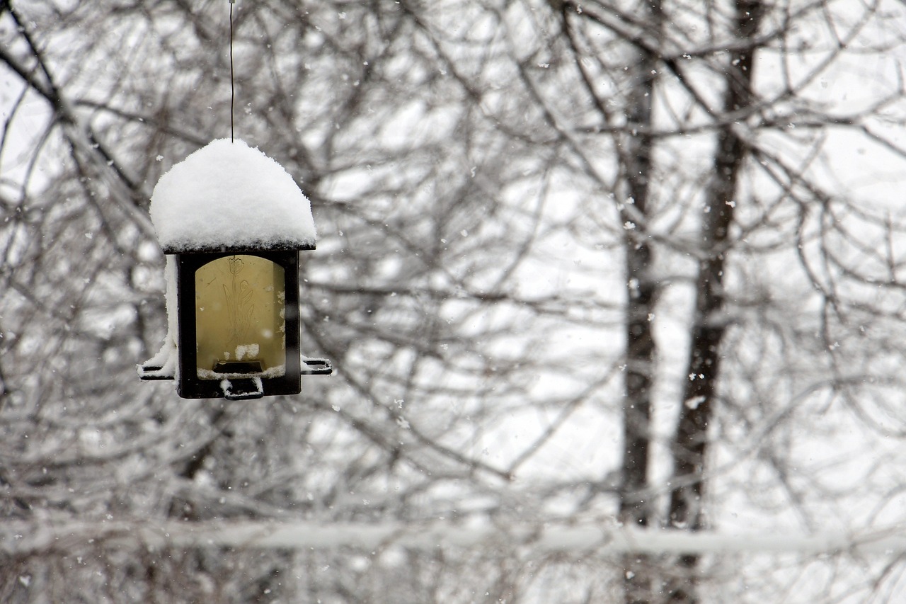 暴雨大暴雪近期将罕见同框