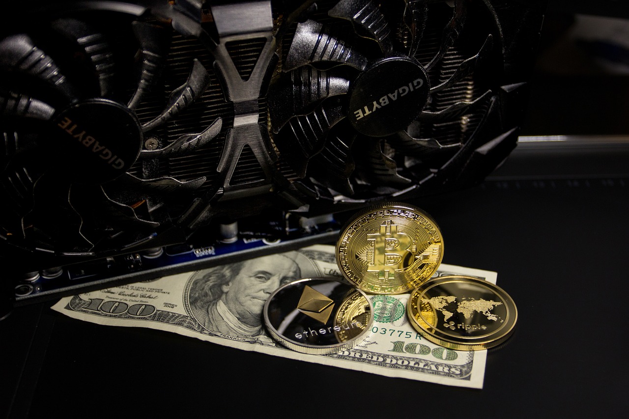 大连新发现一具完整的犀牛头骨化石