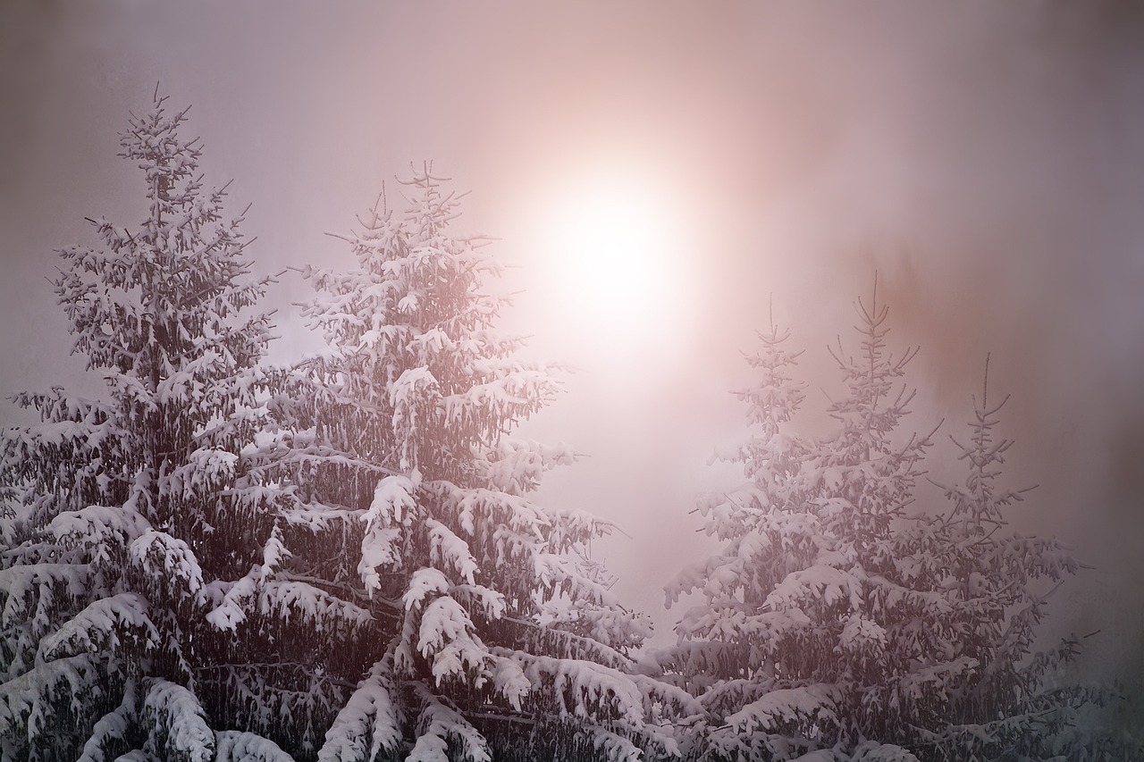 雪舞冬韵，诗意解读那些温暖的冬季佳句