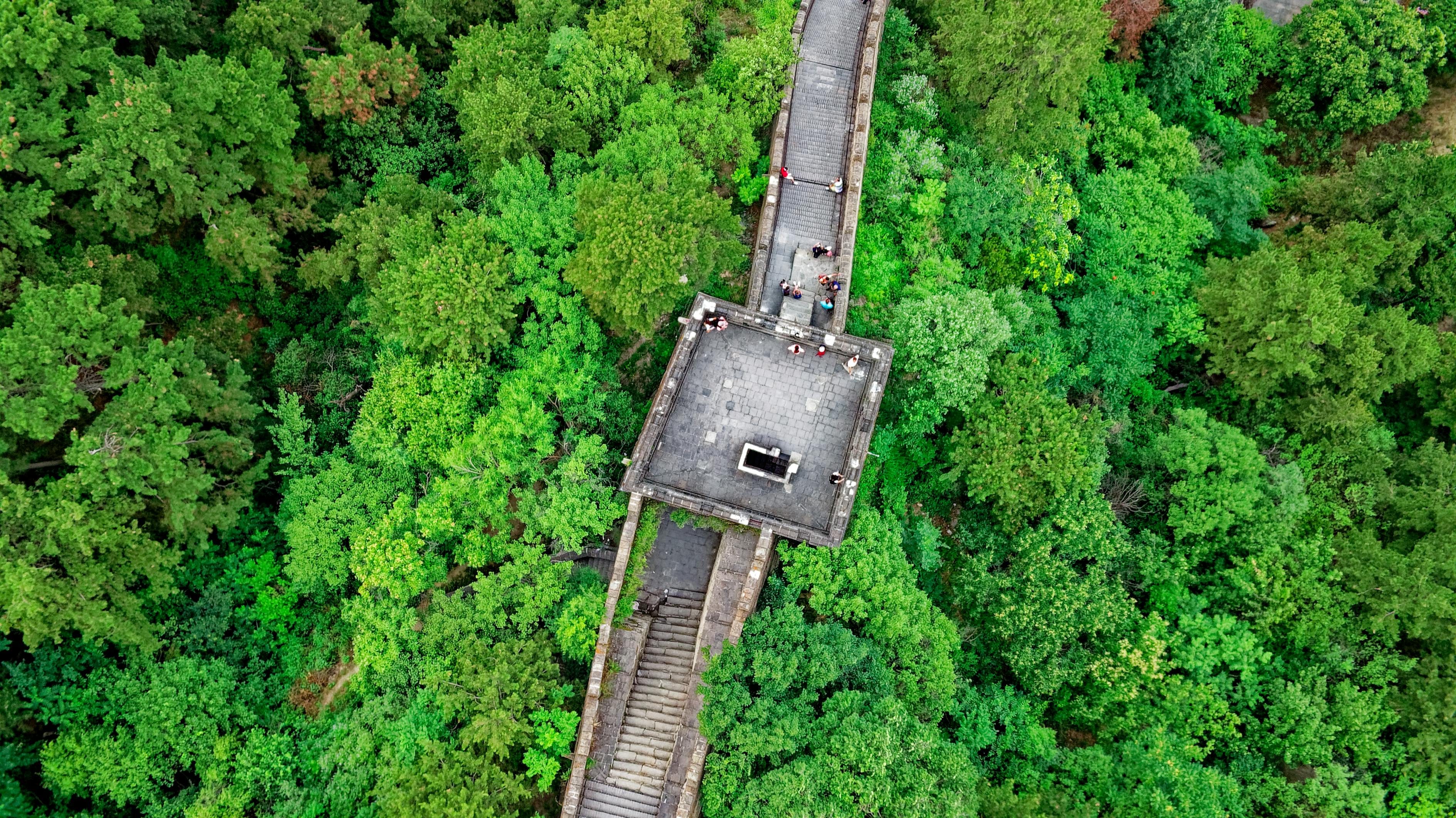 探索神秘的坟地风水学，守护家族安宁与繁荣的智慧