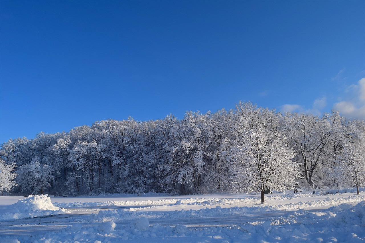 冬日恋曲，落雪的艺术与科学——探索那洁白的精灵