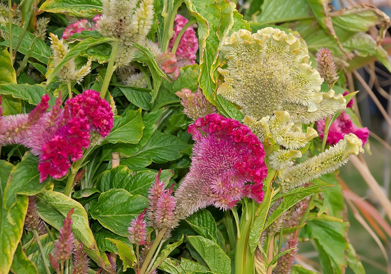 杭州疫情新动态，新增9例本土确诊的应对与预防