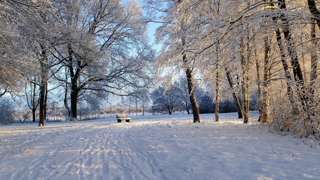 探索冬奥会的举办地，冰雪盛宴的全球舞台
