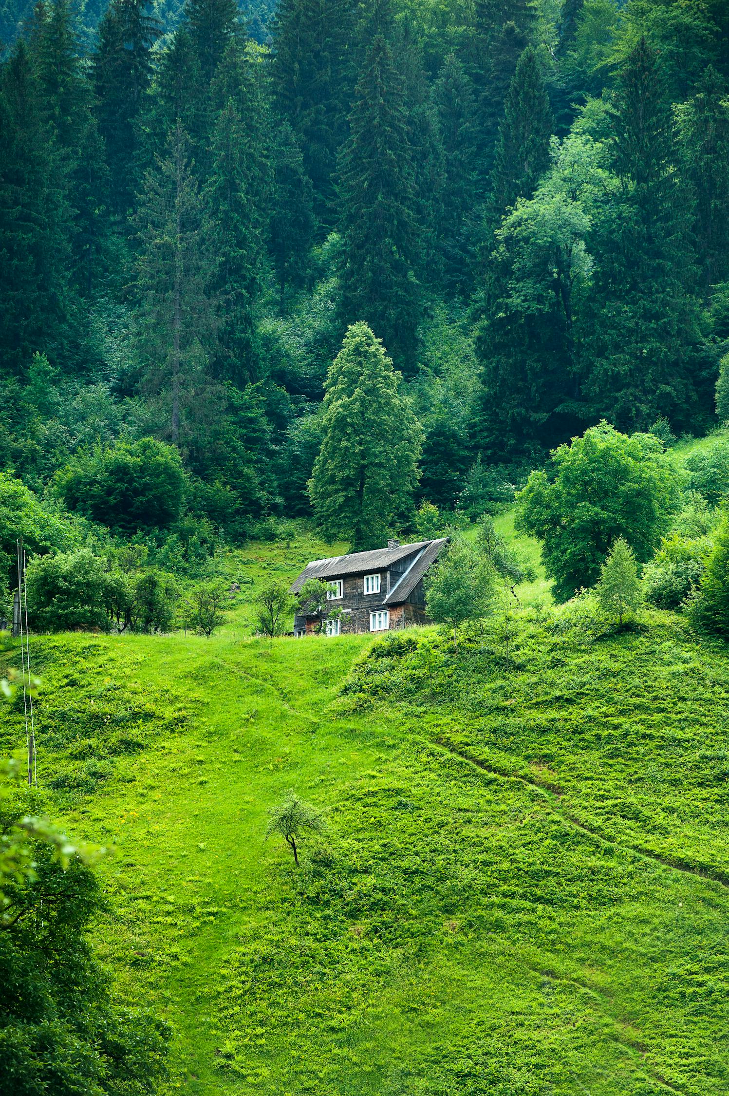 葛仙山疫情，防控措施与旅游安全指南