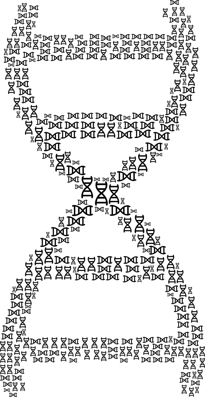 理解全员核酸检测暂停，科学决策与健康保护