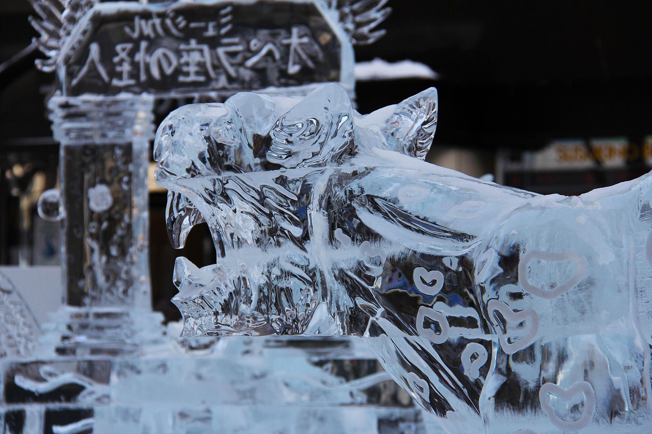 全球冰雪盛宴，北京冬奥会上的国家风采