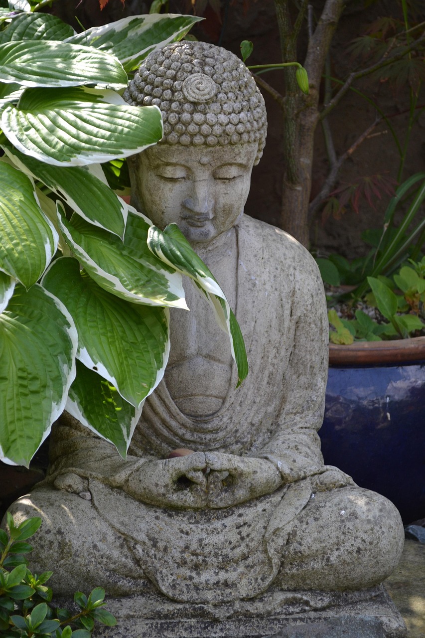 古代赏识的智慧，如何用古人的眼光欣赏现代生活